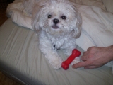 teddiejan62