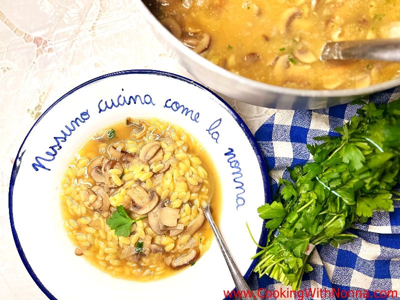 Creamy Mushroom Orzo Soup