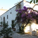 Puglia Tour 2015 - Welcome Dinner at Masseria Marzalossa