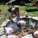 Stream Photos
